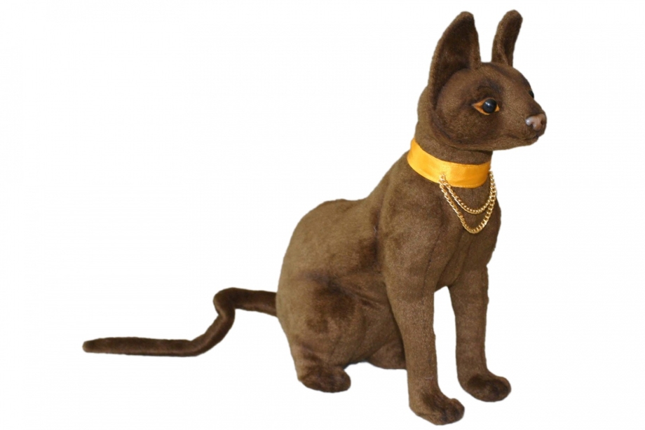 Кошка Hansa
