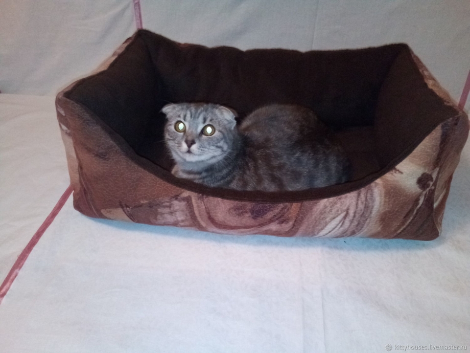 Лежанка для кота с бортиками