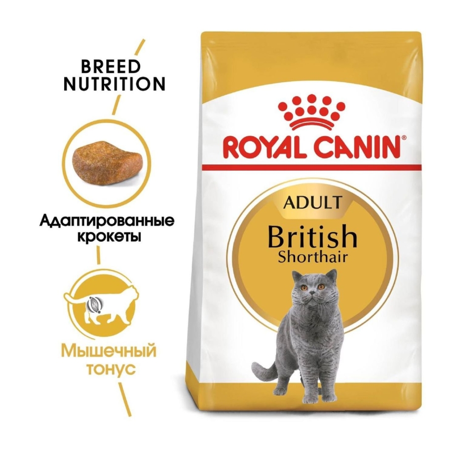 Royal Canin British Shorthair