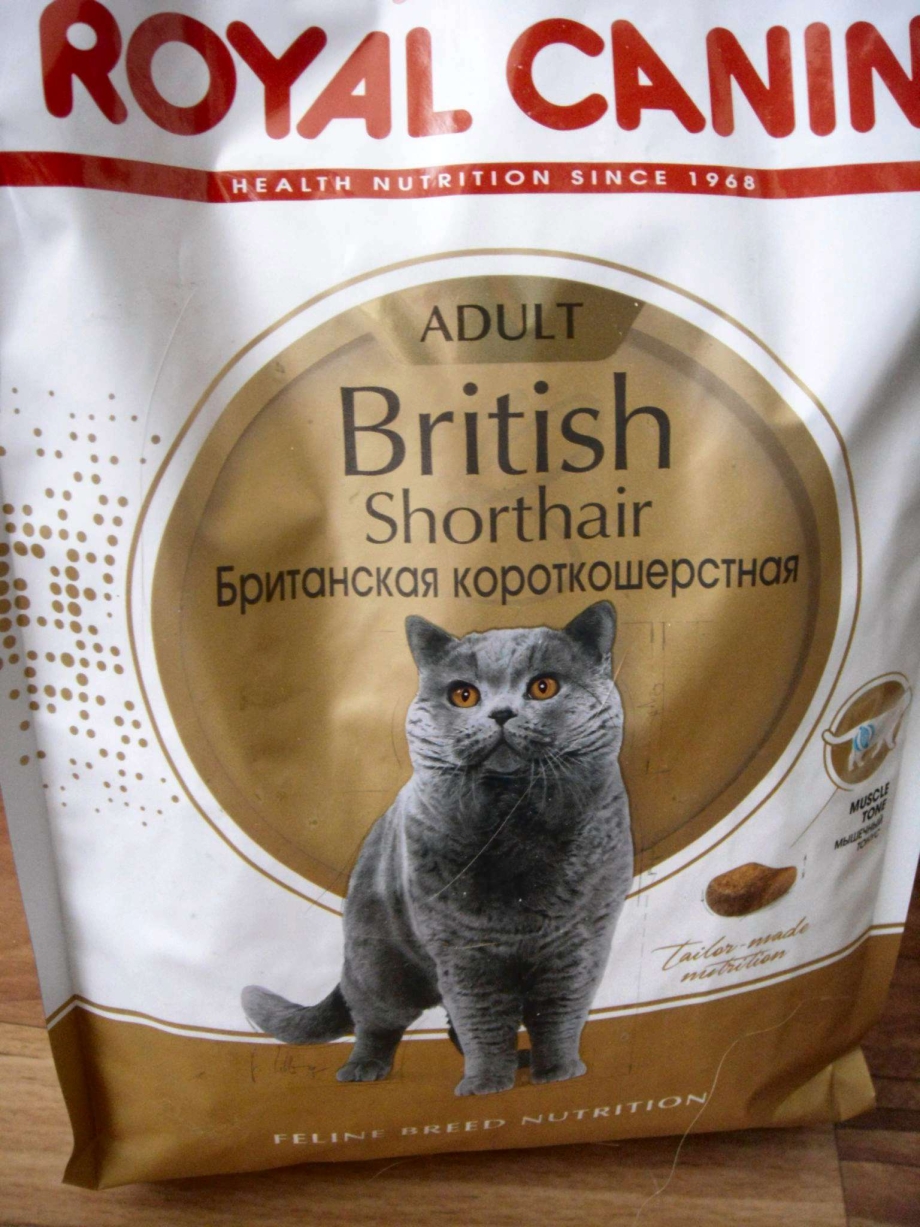 Роял Канин для кошек британской породы
