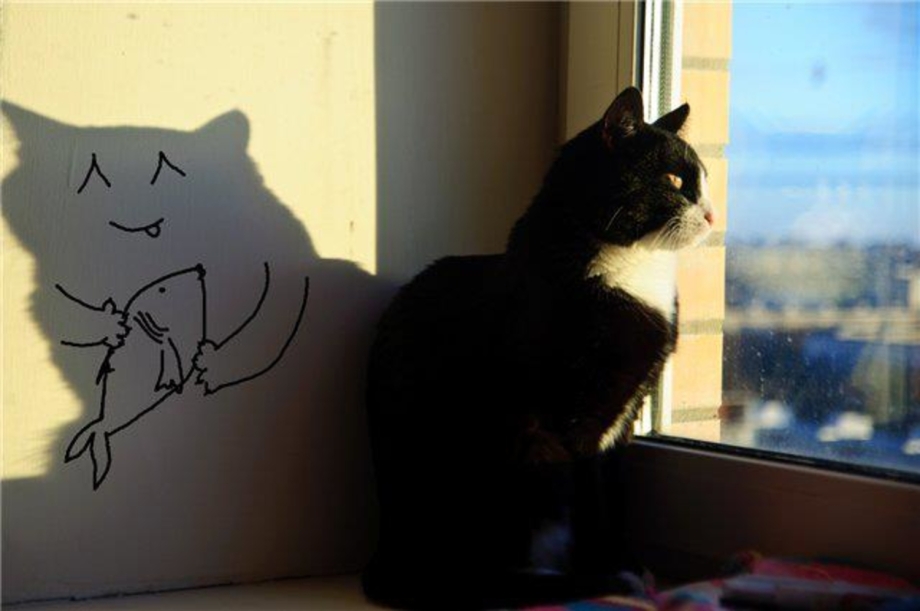 Обиженные котики