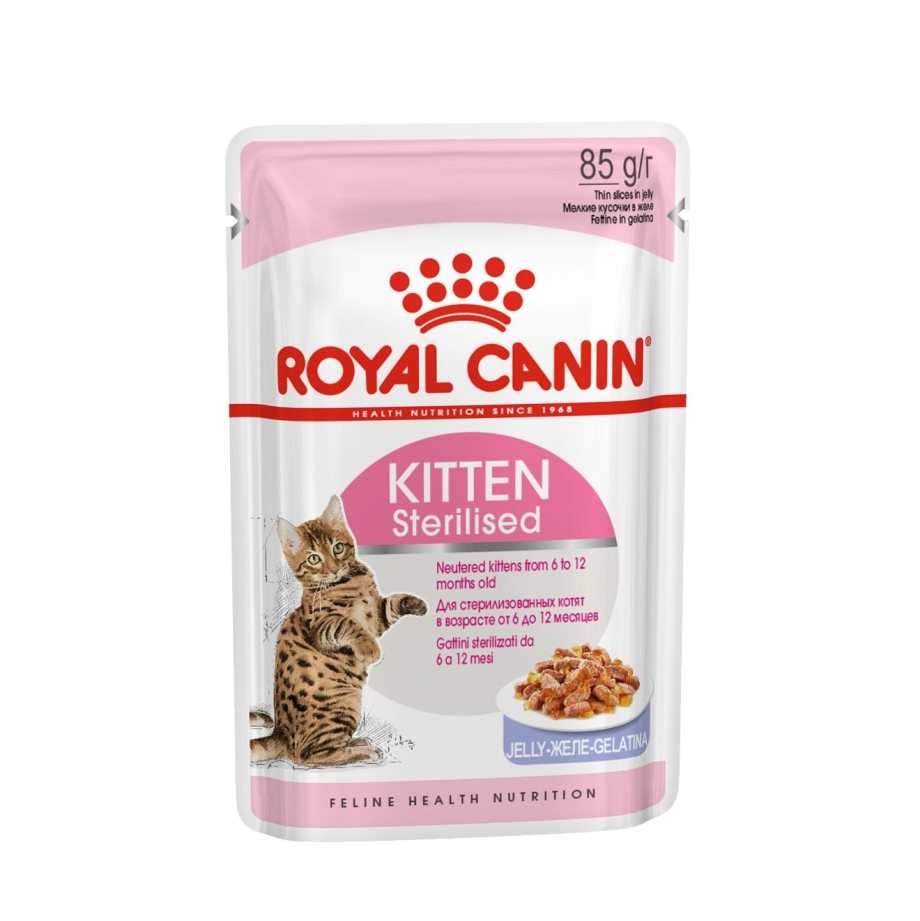 Royal Canin ageing 12+