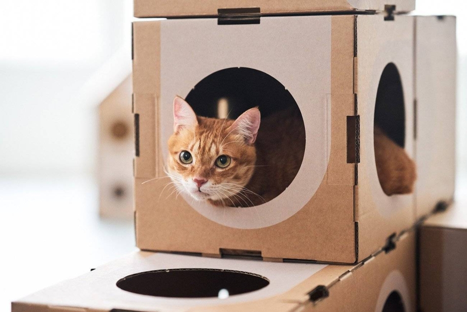 Домик для кошки из коробки
