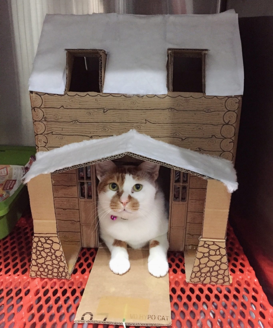 Домик для котика из картонной коробки