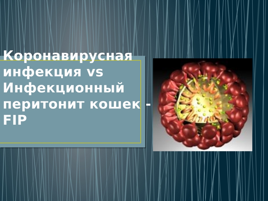 Панлейкопения (Кошачья чума)
