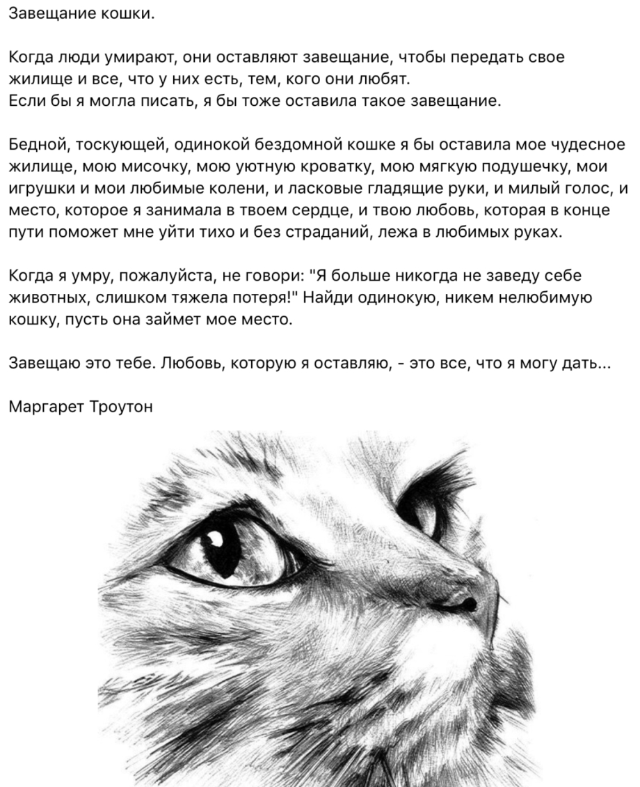 Бросила девушка