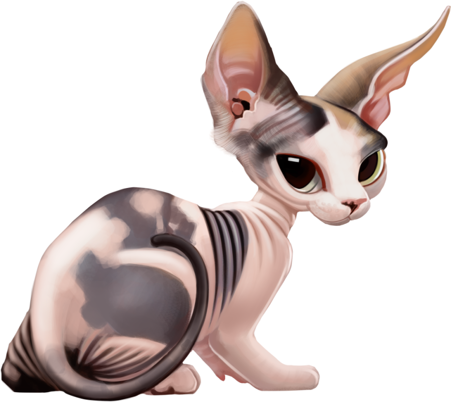 Сфинкс кот