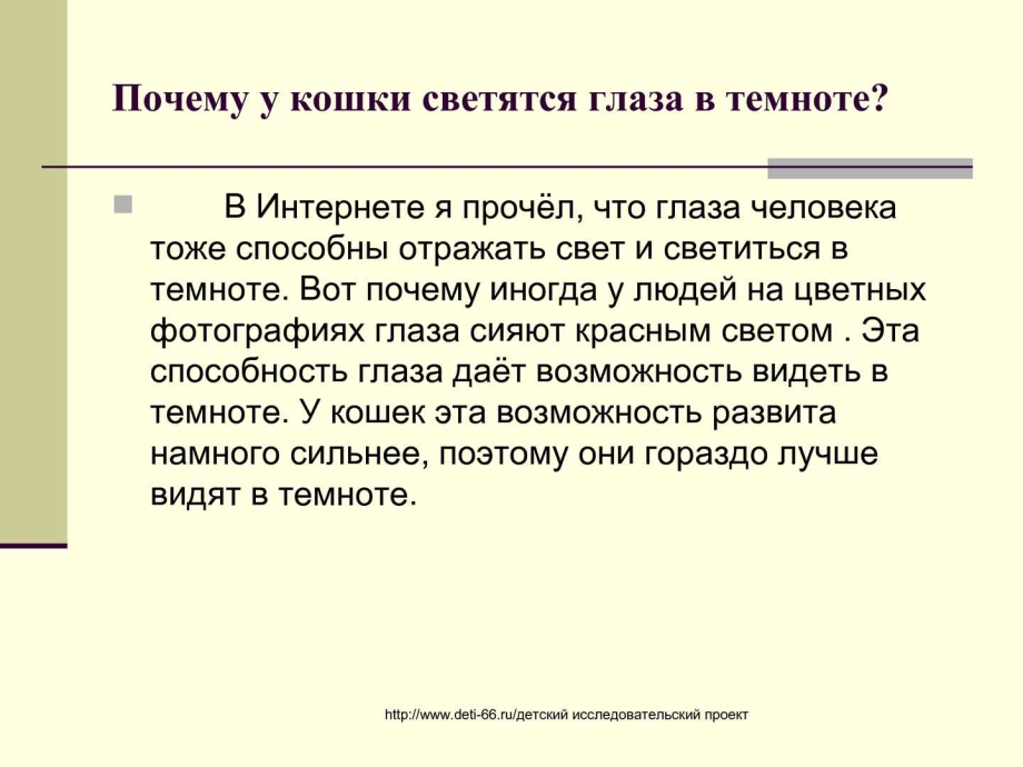 Почему у кошек светятся глаза в темноте