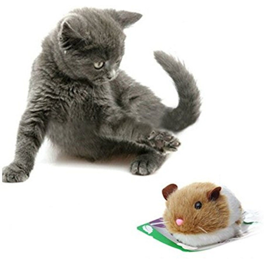Котенок играет с игрушкой
