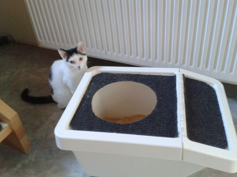 Кошачий лоток икеа