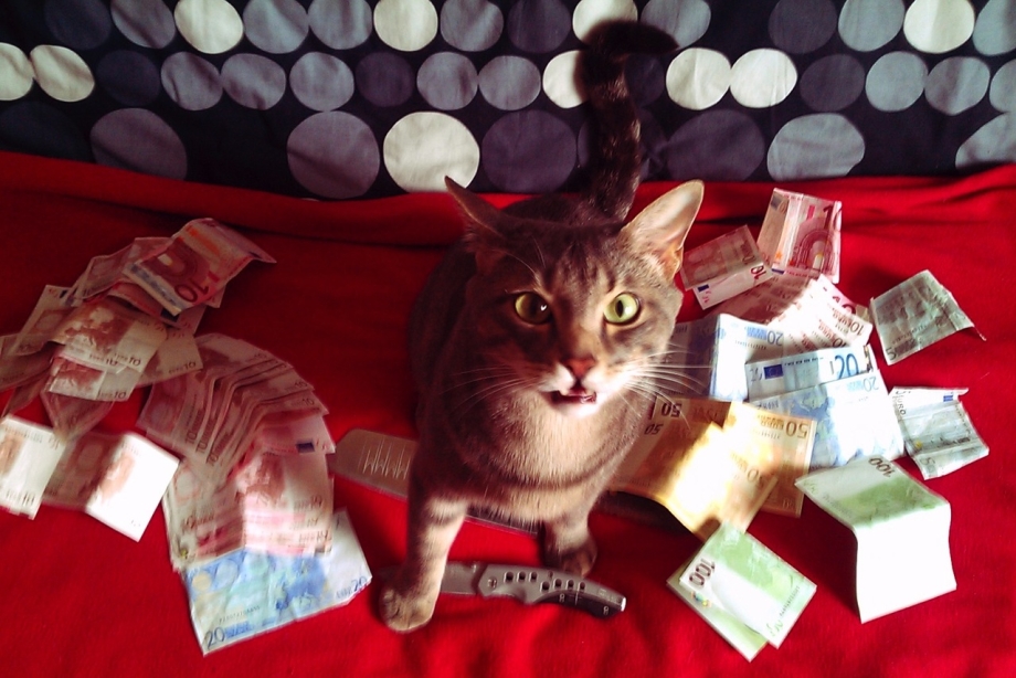 Кошка с деньгами