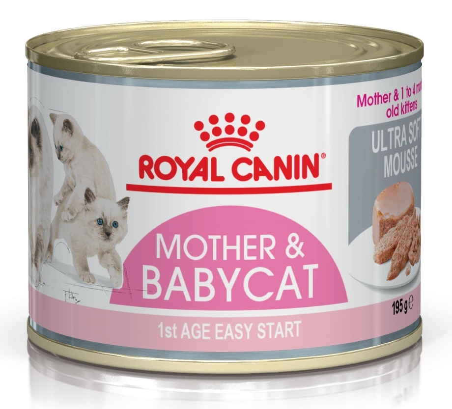 Роял Канин для кошек mother Babycat консервы