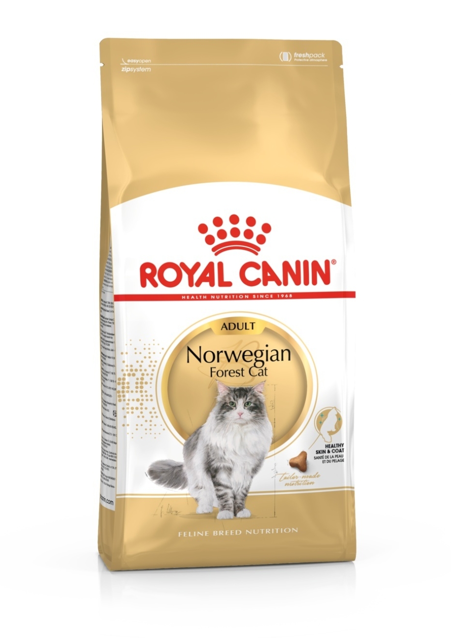 Royal Canin British Shorthair