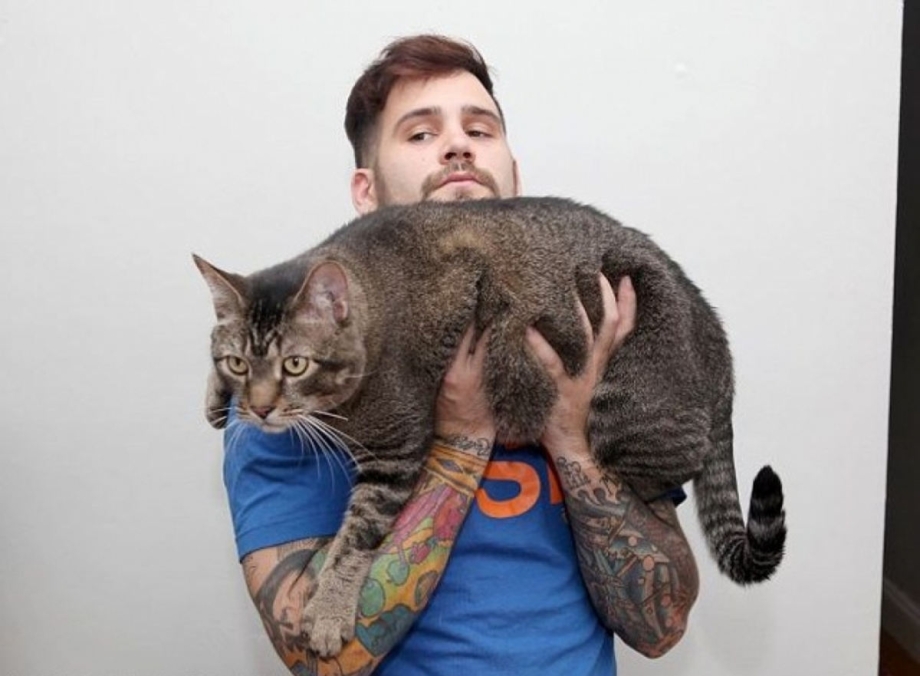 Франсдита Муафидин коты