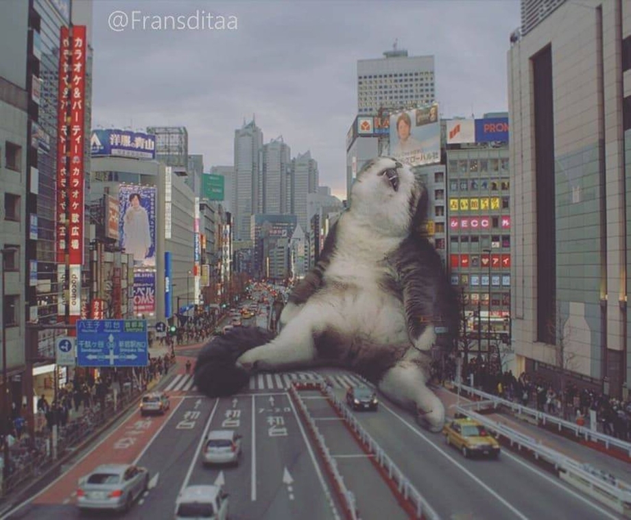 Кошка Годзилла