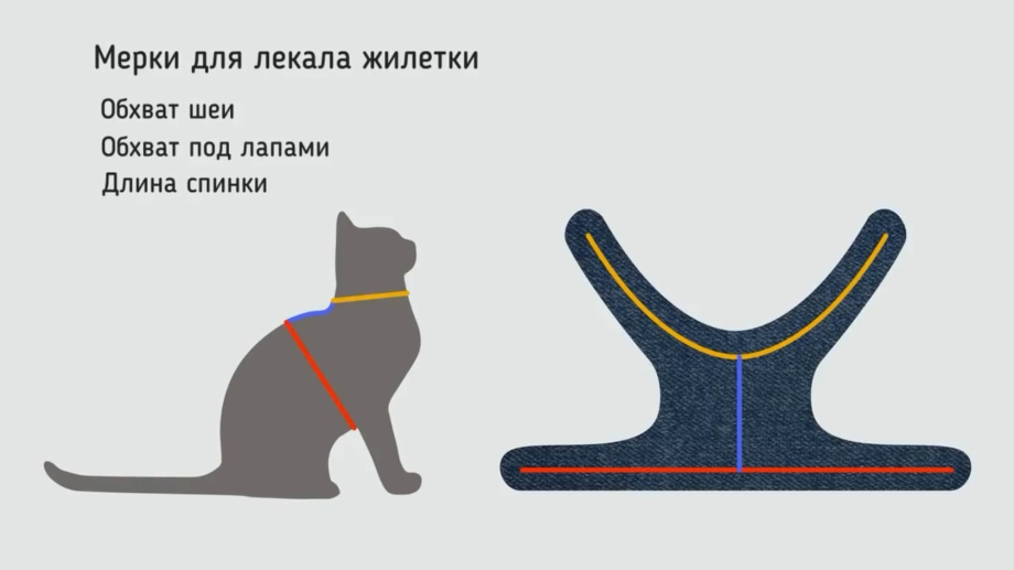 Шлейка жилет для кошки выкройка