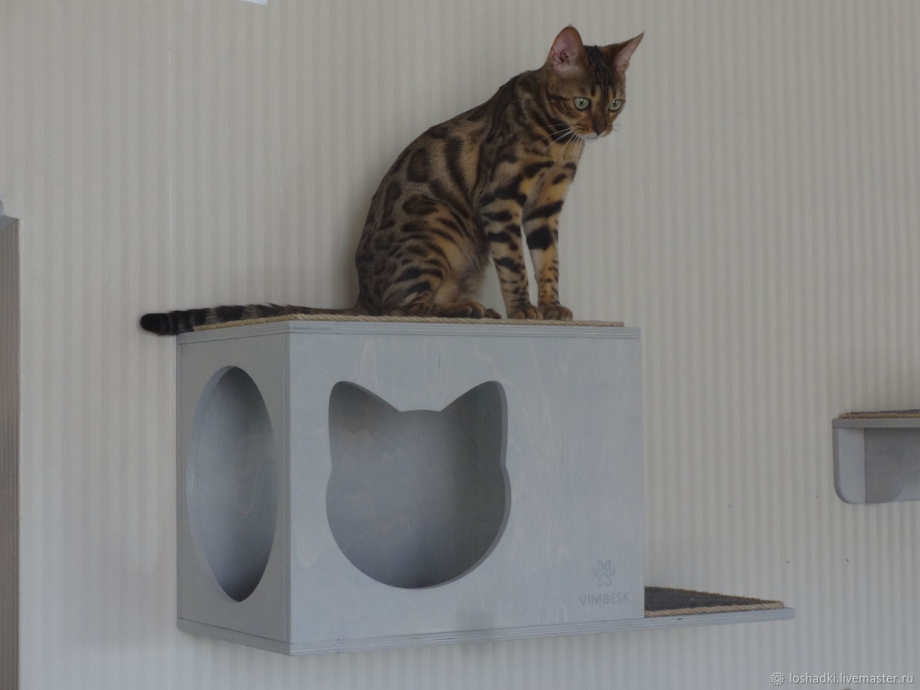 Дом для кота
