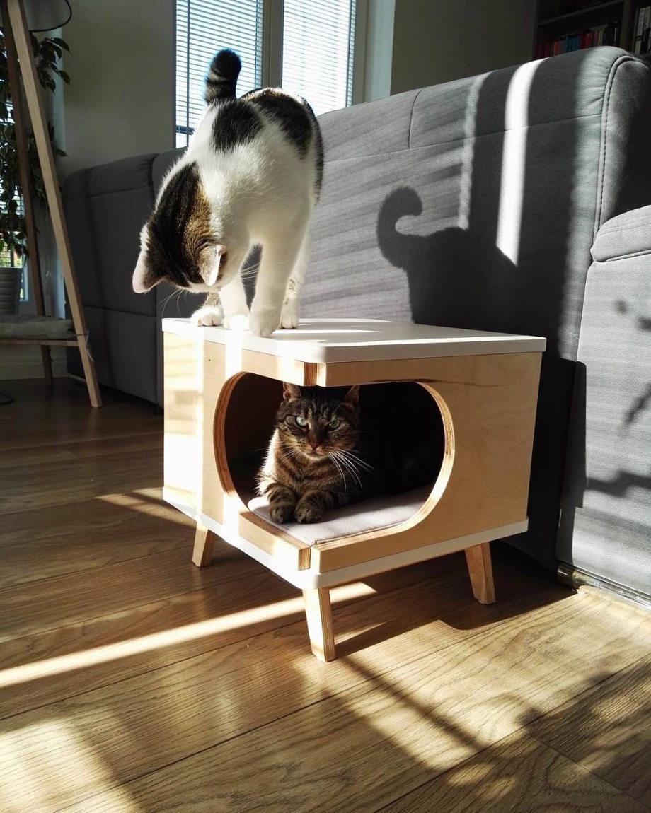 Необычный домик для кота