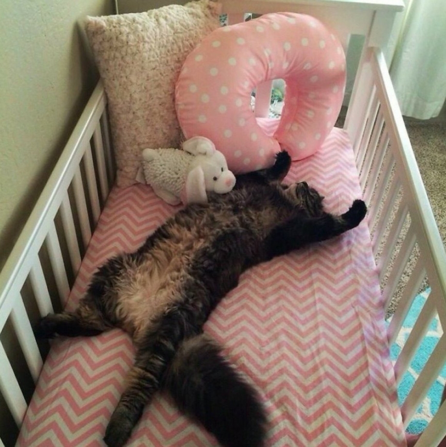 Кошечка в кроватке