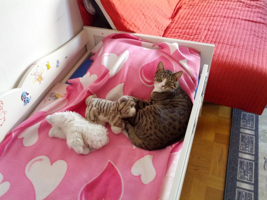 Кошка в детской кроватке