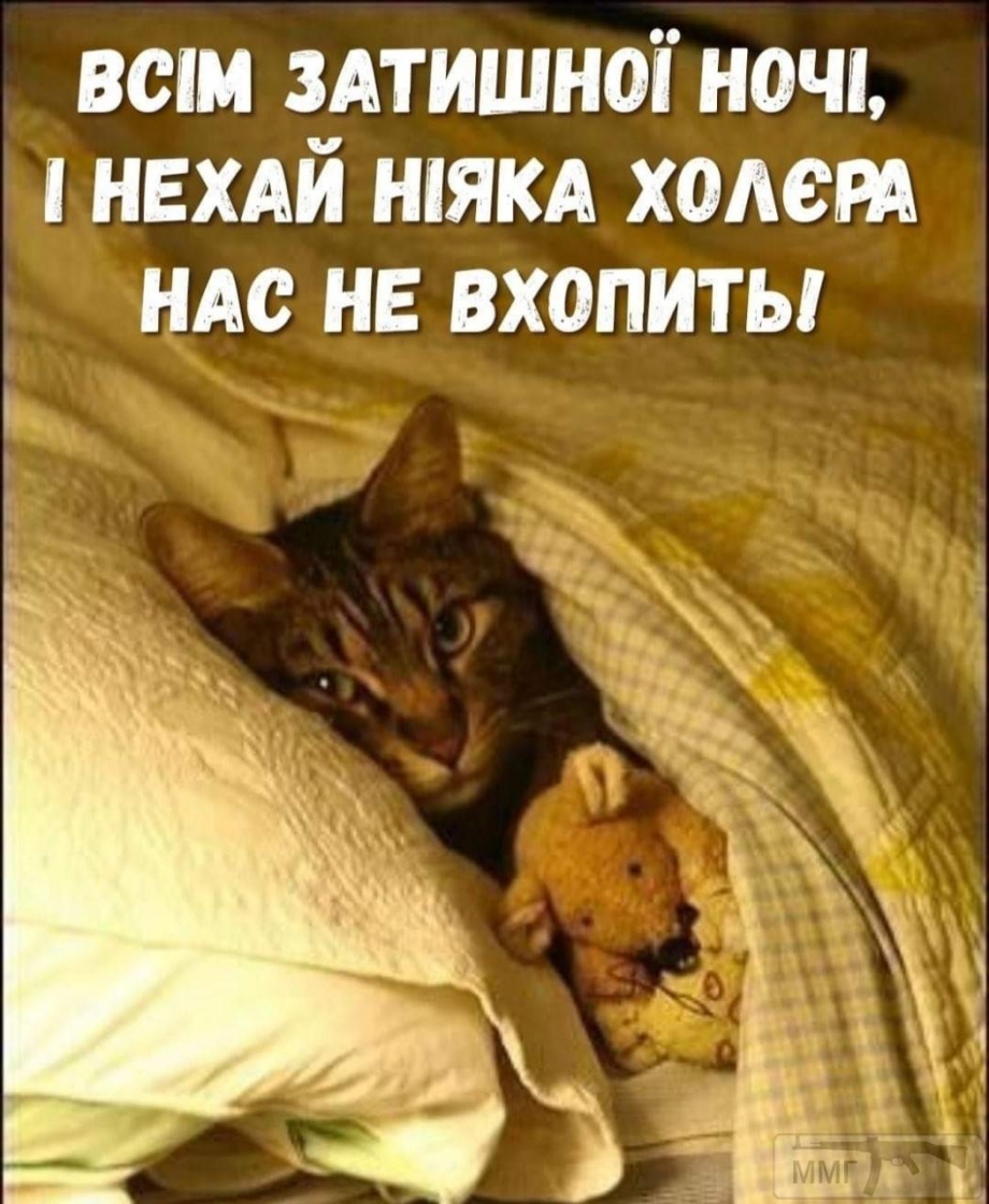 Мышь в кровати
