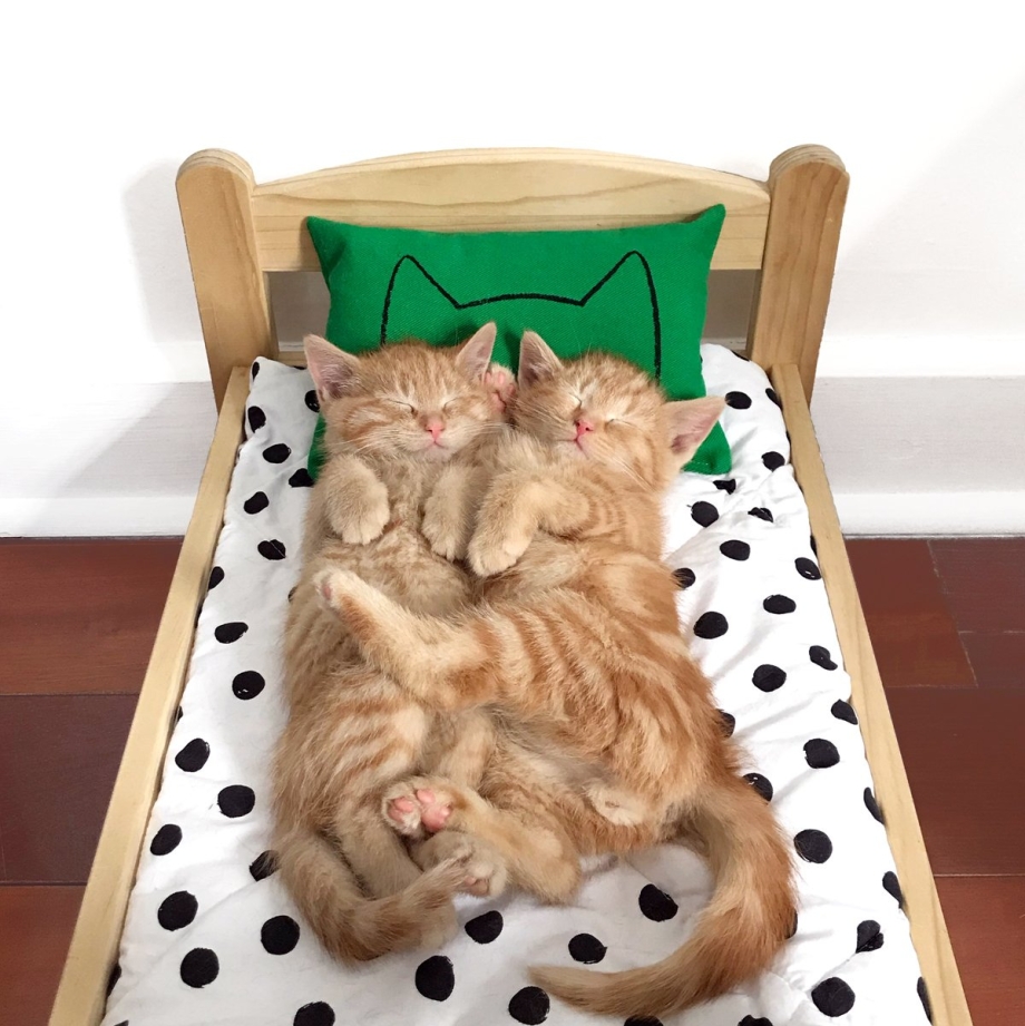 Кровать для кота