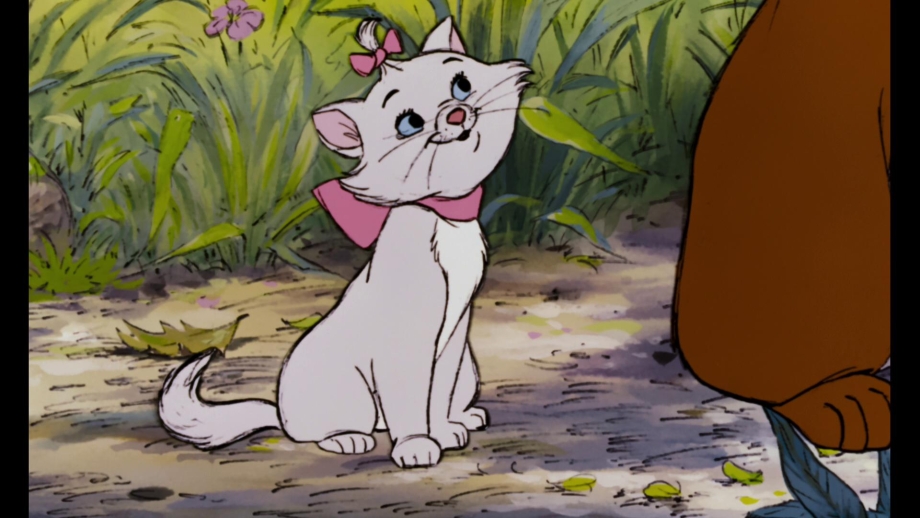 Коты Аристократы