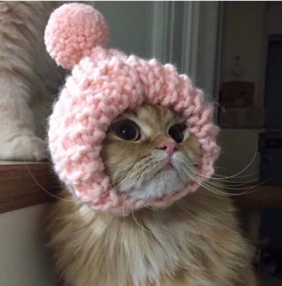 Шапка 'кошка'