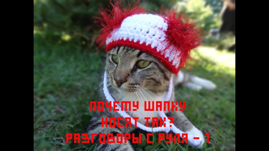 Шапочки для котов