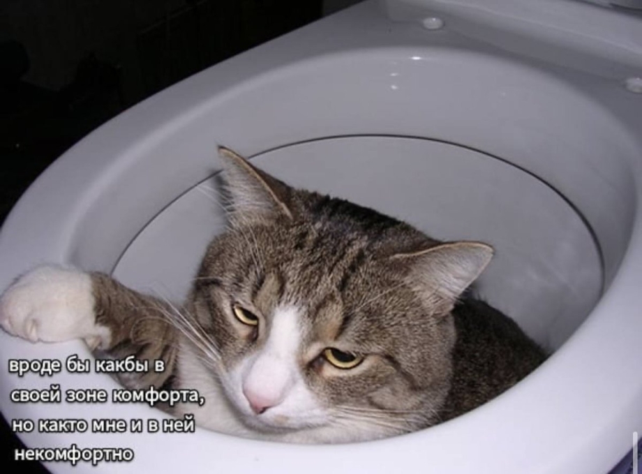Кашляющий кот Мем