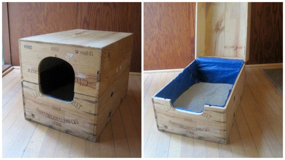 Туалет для кота из коробки