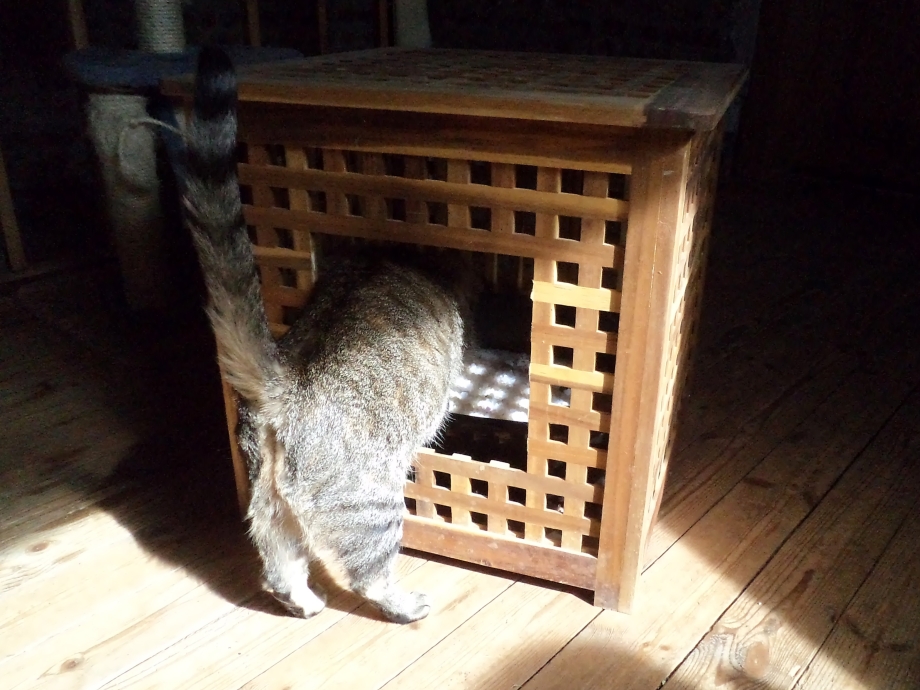 Кошачий туалет икеа