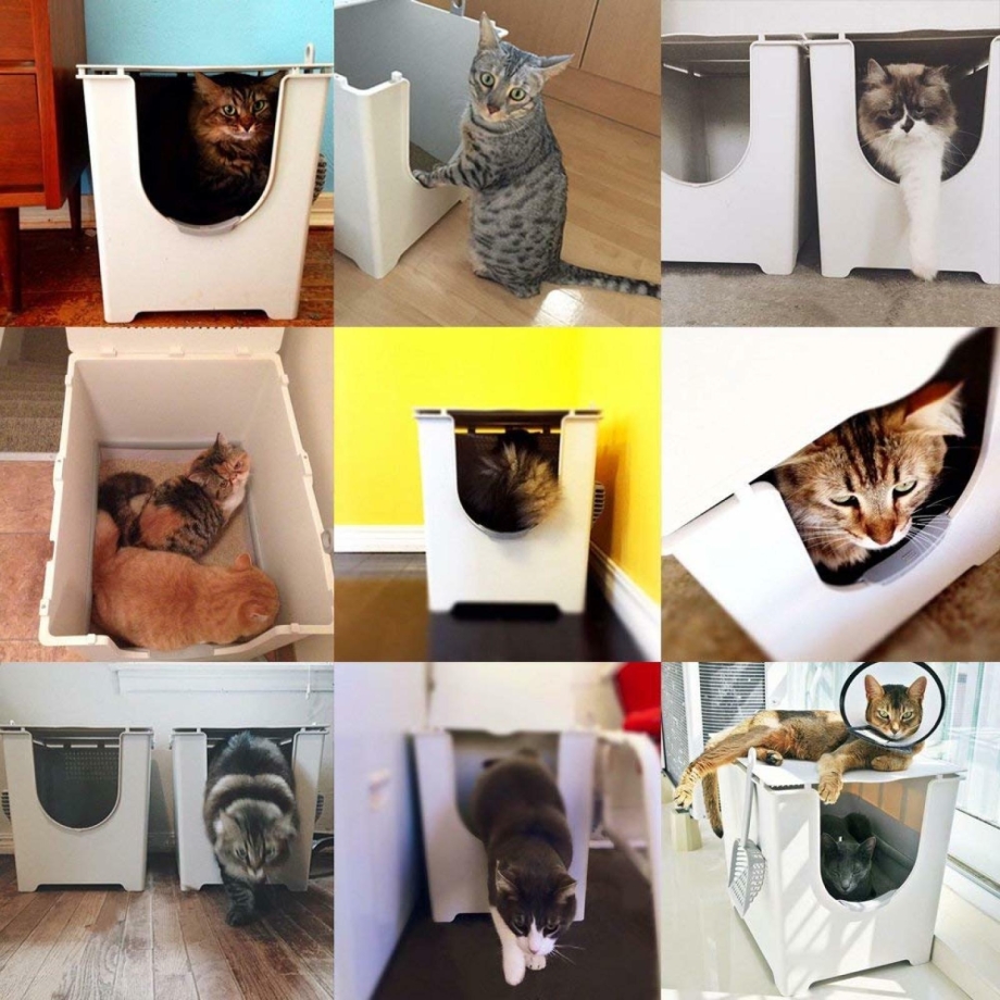 Modkat Litter Box