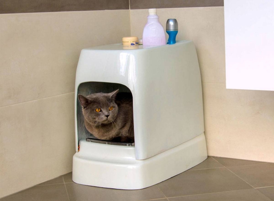 Лоток для кота домик