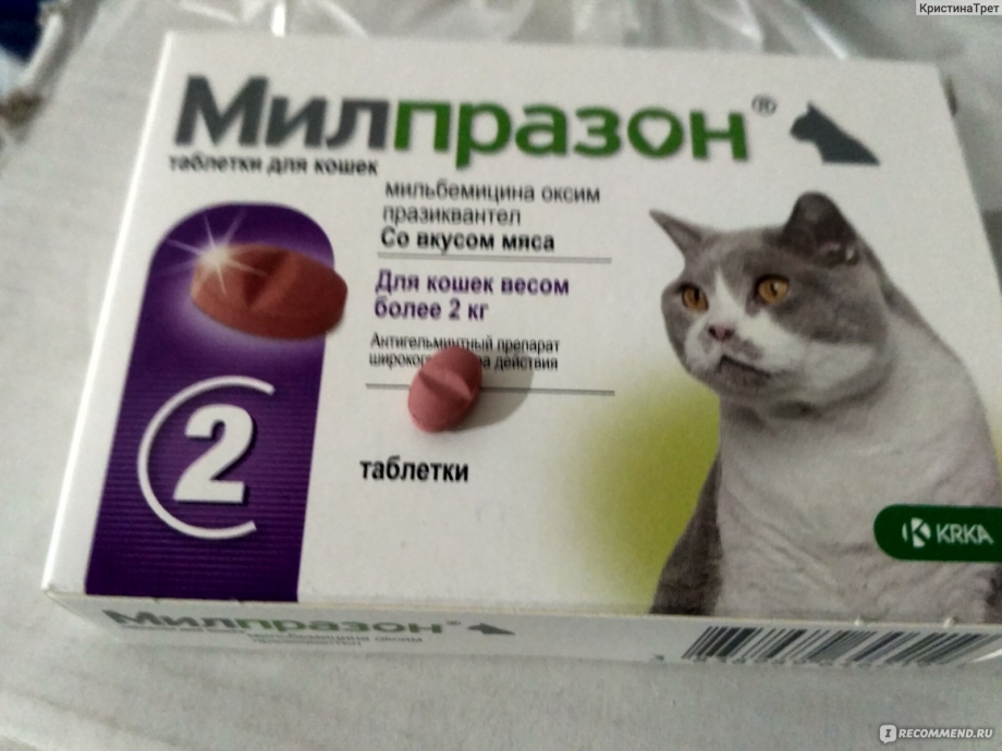 Празицид суспензия для котят