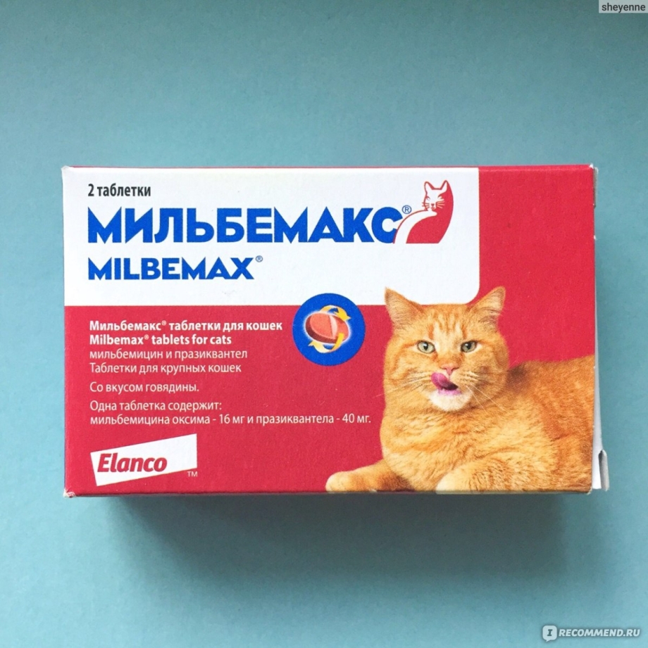 Таблетки от глистов для кошек Мильбемакс