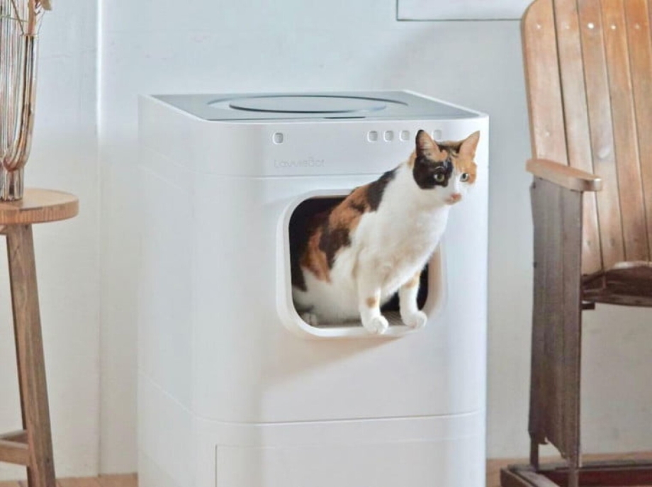 Умный дом для кота