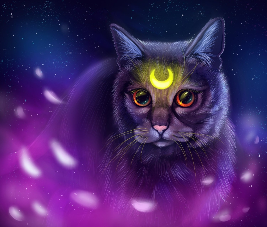 Фэнтези кошки