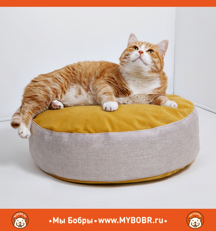 Лежанка для кота