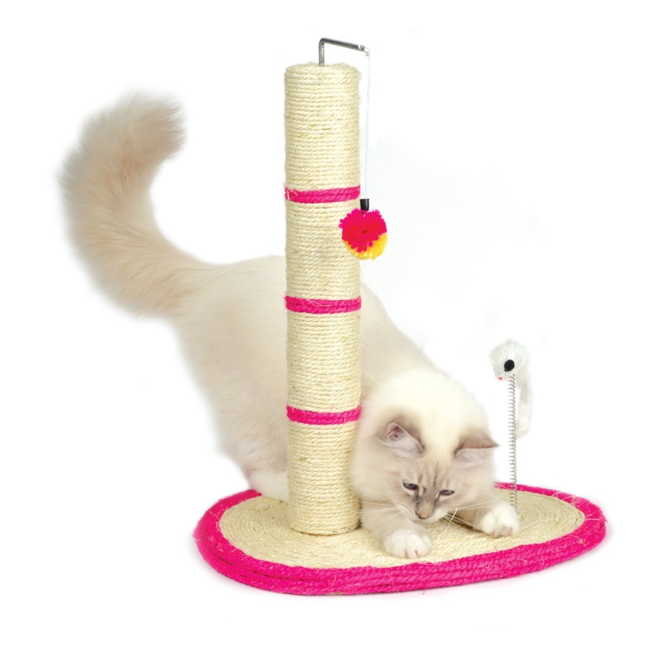 Scratching Post группа