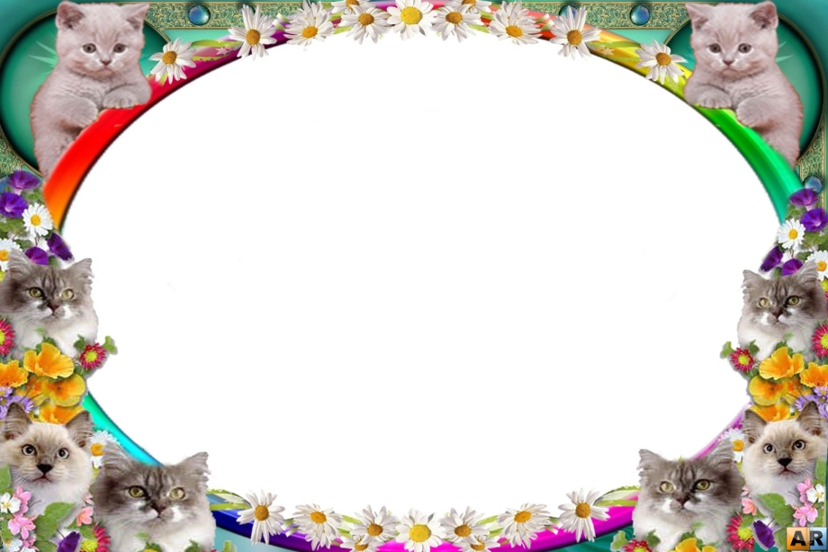 Рамка с котятами