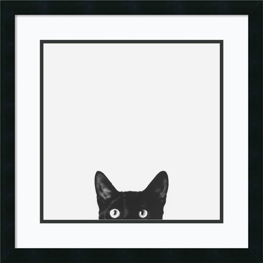Рамка с котиками