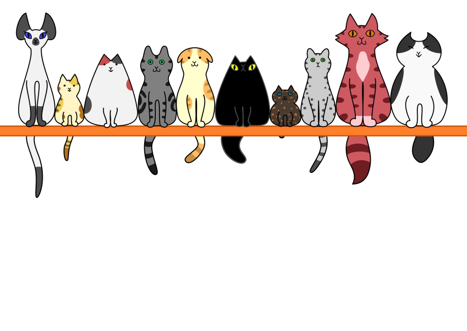 Котики в ряд
