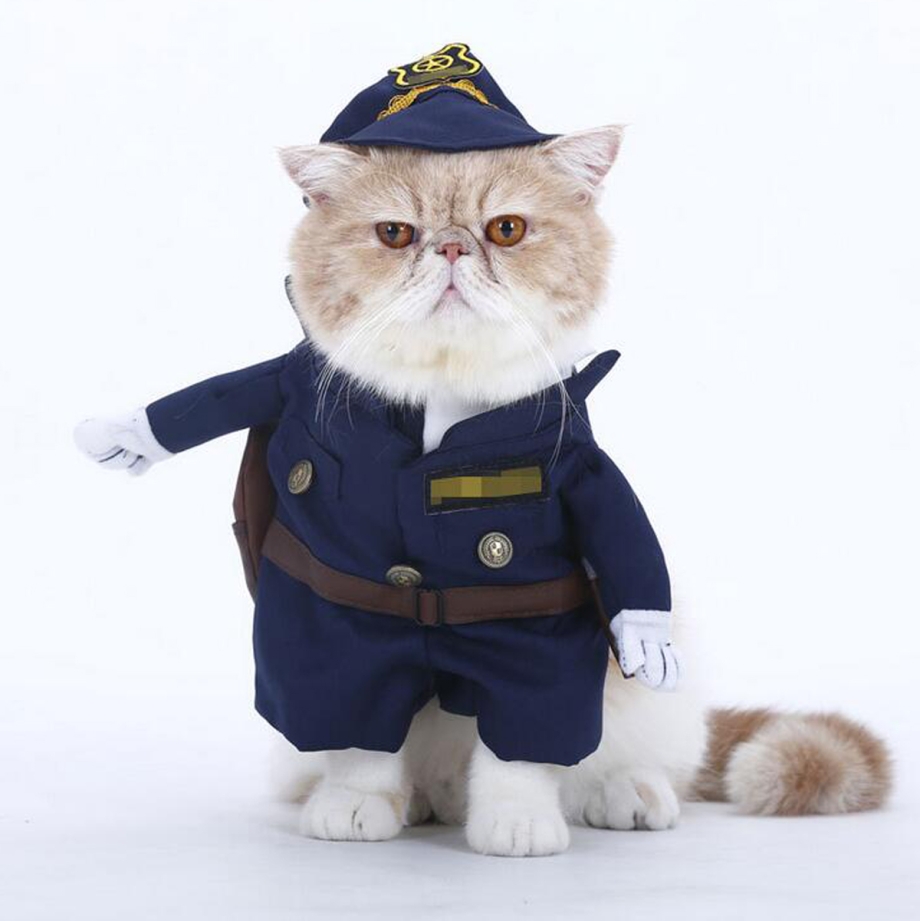 Костюм кошки