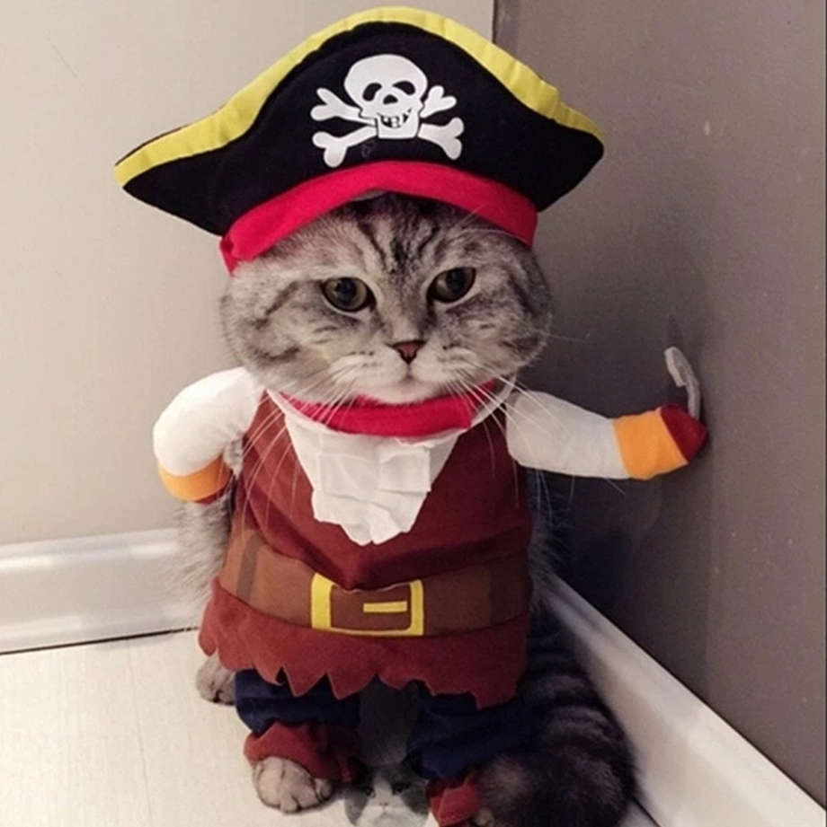 Костюм кошки