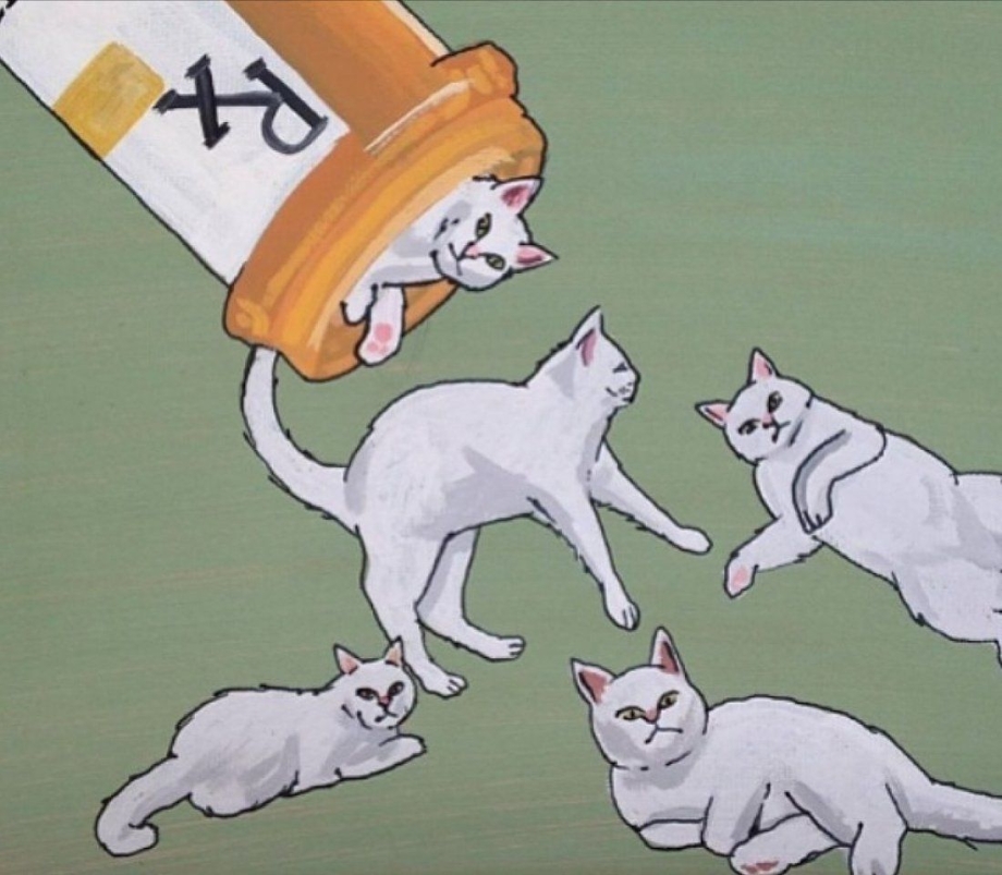 Сова против кота