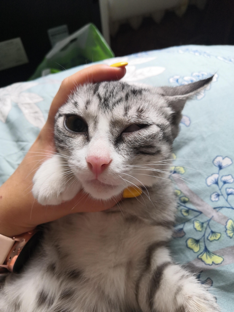 Глазки маленьких котят