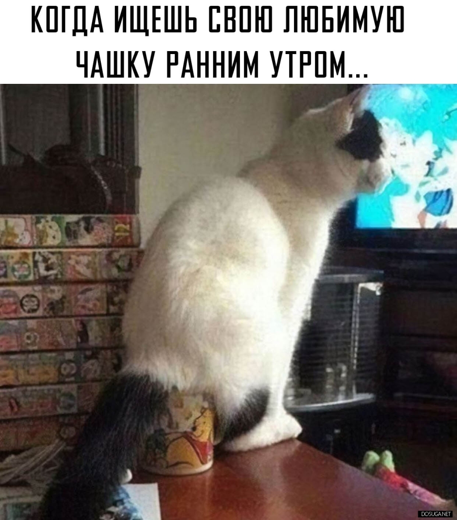 Смешные картинки