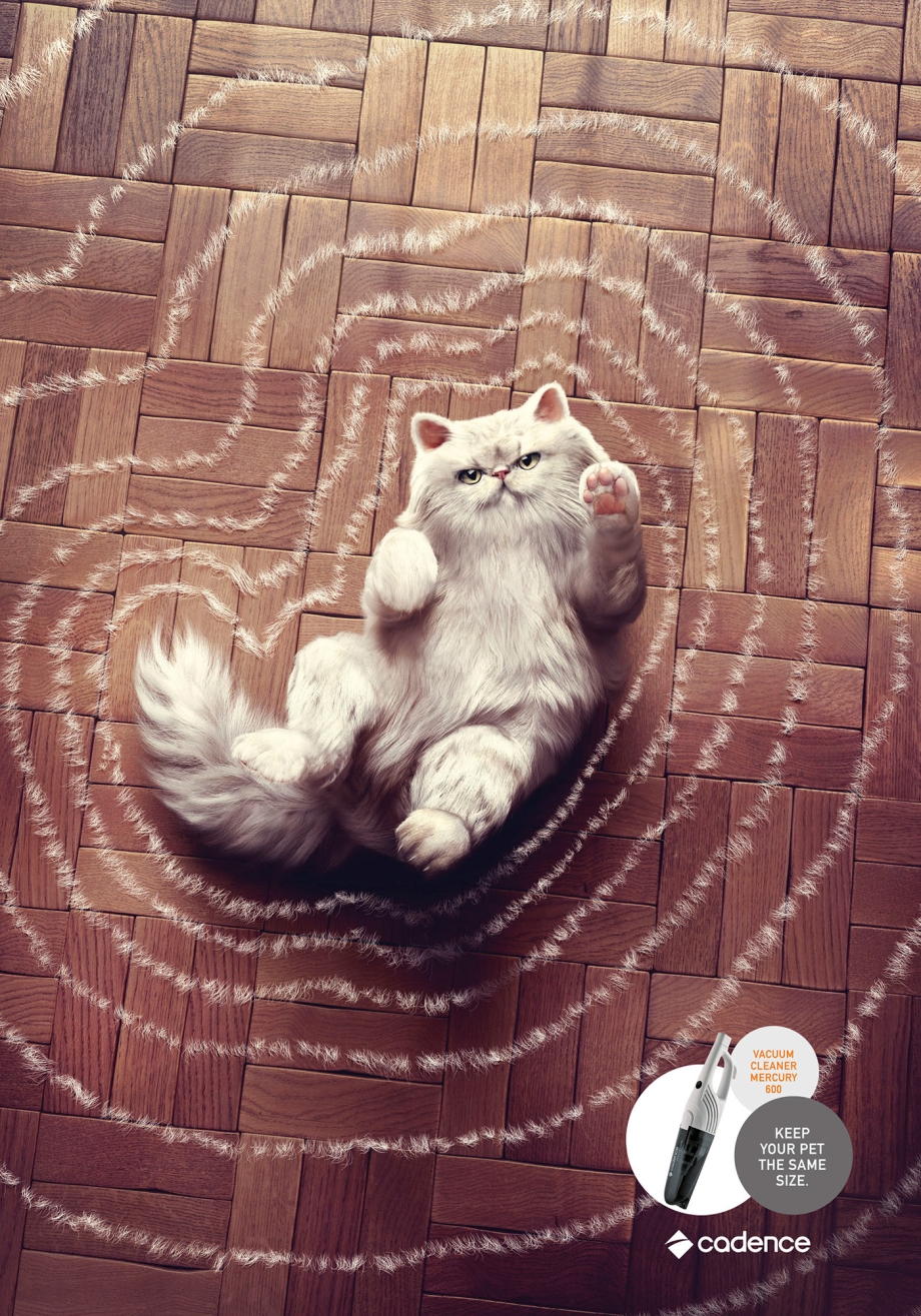 Коты в рекламе