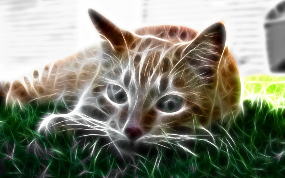 Зеркало "кот"